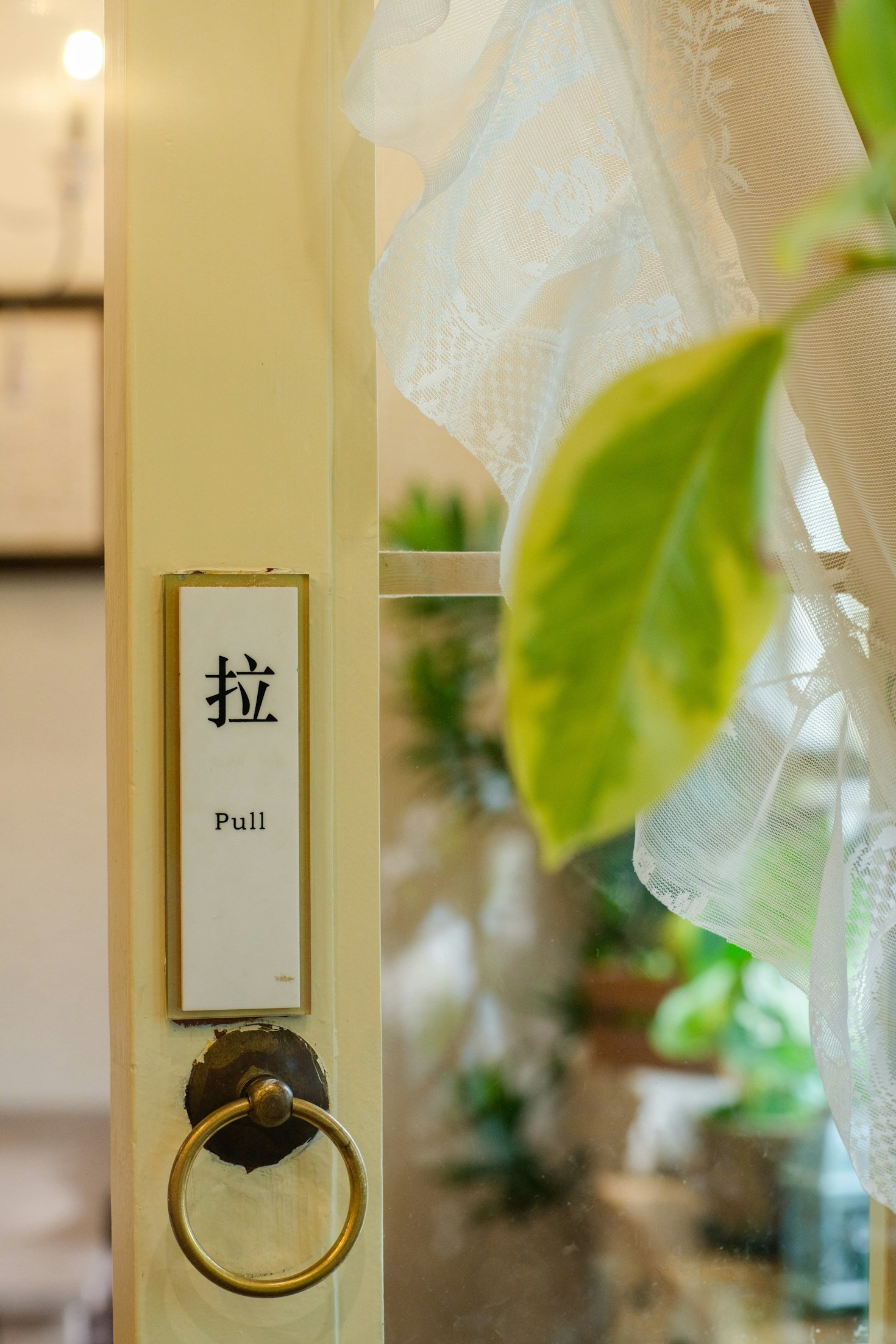 Why Choose Denver Door Works for Your Business